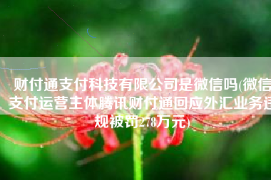 财付通支付科技有限公司是微信吗(微信支付运营主体腾讯财付通回应外汇业务违规被罚278万元)
