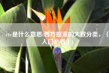 rte是什么意思(西方摇滚的大致分类，（入门必看）)