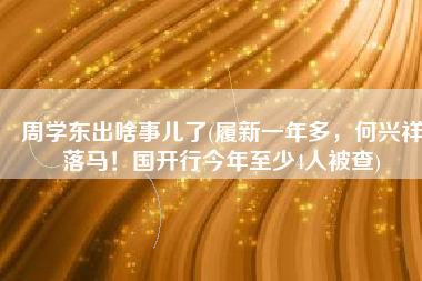 周学东出啥事儿了(履新一年多，何兴祥落马！国开行今年至少4人被查)