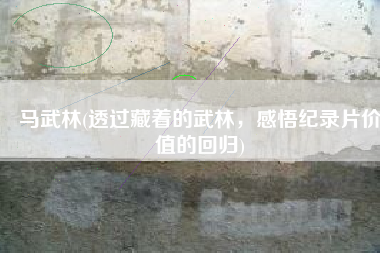 马武林(透过藏着的武林，感悟纪录片价值的回归)
