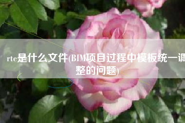 rte是什么文件(BIM项目过程中模板统一调整的问题)