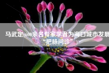 马武定(600余名专家学者为海口城市发展“把脉问诊”)