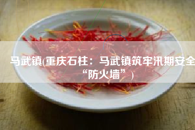 马武镇(重庆石柱：马武镇筑牢汛期安全“防火墙”)