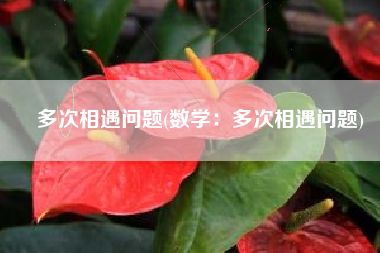 多次相遇问题(数学：多次相遇问题)