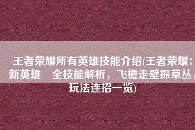 王者荣耀所有英雄技能介绍(王者荣耀：新英雄暃全技能解析，飞檐走壁探草丛，玩法连招一览)