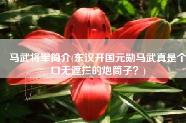 马武将军简介(东汉开国元勋马武真是个口无遮拦的炮筒子？)
