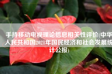 手持移动电视理论信息相关性评价(中华人民共和国2021年国民经济和社会发展统计公报)