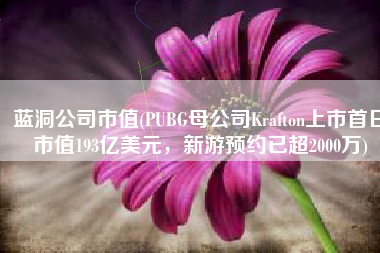 蓝洞公司市值(PUBG母公司Krafton上市首日市值193亿美元，新游预约已超2000万)