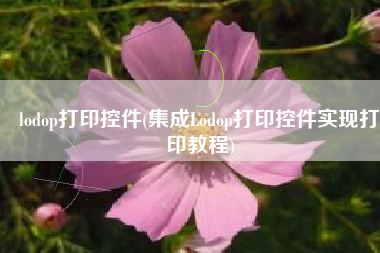 lodop打印控件(集成Lodop打印控件实现打印教程)