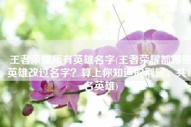 王者荣耀所有英雄名字(王者荣耀都哪些英雄改过名字？算上你知道的荆轲，共13名英雄)