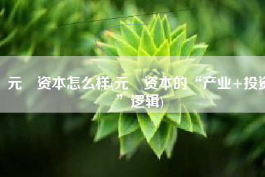 元璟资本怎么样(元璟资本的“产业+投资”逻辑)