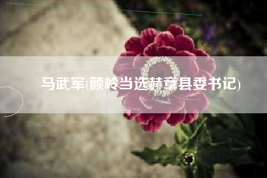 马武军(颜岭当选赫章县委书记)