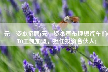 元璟资本招聘(元璟资本宣布理想汽车前CTO王凯加盟，担任投资合伙人)