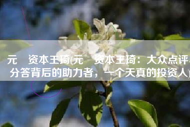 元璟资本王琦(元璟资本王琦：大众点评、分答背后的助力者，一个天真的投资人)