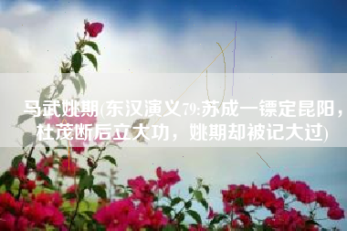 马武姚期(东汉演义79:苏成一镖定昆阳，杜茂断后立大功，姚期却被记大过)