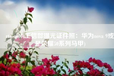rte-al00(工信部曝光证件照：华为nova 9或是荣耀50系列马甲)