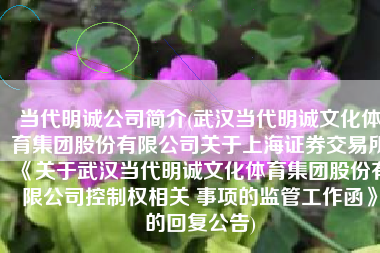当代明诚公司简介(武汉当代明诚文化体育集团股份有限公司关于上海证券交易所《关于武汉当代明诚文化体育集团股份有限公司控制权相关 事项的监管工作函》的回复公告)