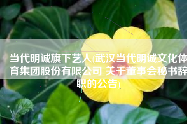 当代明诚旗下艺人(武汉当代明诚文化体育集团股份有限公司 关于董事会秘书辞职的公告)