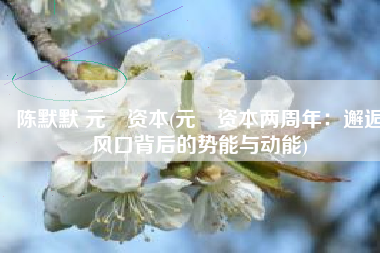 陈默默 元璟资本(元璟资本两周年：邂逅风口背后的势能与动能)