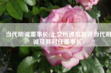 当代明诚董事长(上交所通报批评当代明诚及其时任董事长)