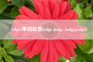 lodge(单词联想lodge dodge hodgepodge)