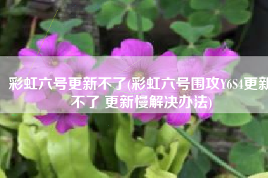 彩虹六号更新不了(彩虹六号围攻Y6S4更新不了 更新慢解决办法)