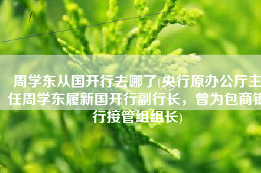 周学东从国开行去哪了(央行原办公厅主任周学东履新国开行副行长，曾为包商银行接管组组长)
