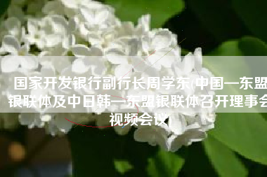 国家开发银行副行长周学东(中国—东盟银联体及中日韩—东盟银联体召开理事会视频会议)