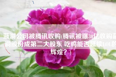 蓝洞公司被腾讯收购(腾讯被曝30亿收购蓝洞股份成第二大股东 吃鸡能否延续LOL的辉煌？)