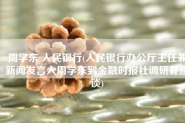 周学东 人民银行(人民银行办公厅主任兼新闻发言人周学东到金融时报社调研并座谈)