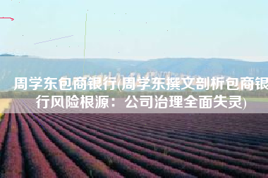 周学东包商银行(周学东撰文剖析包商银行风险根源：公司治理全面失灵)