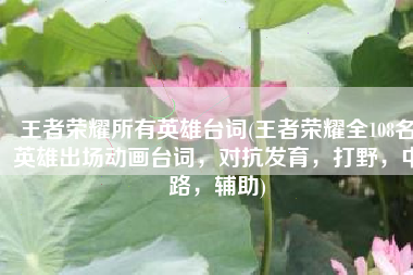 王者荣耀所有英雄台词(王者荣耀全108名英雄出场动画台词，对抗发育，打野，中路，辅助)