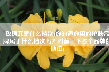 玫珂菲是什么档次(你知道你用的护肤品牌属于什么档次吗？科普一下各个品牌的地位)