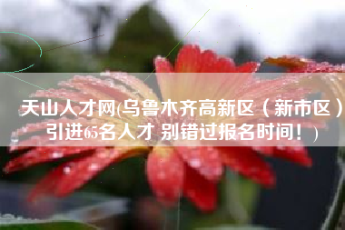 天山人才网(乌鲁木齐高新区（新市区）引进65名人才 别错过报名时间！)
