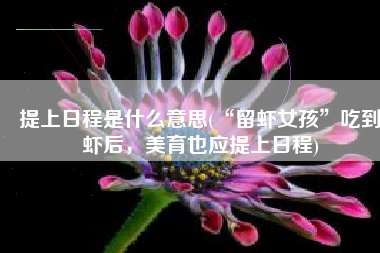 提上日程是什么意思(“留虾女孩”吃到虾后，美育也应提上日程)