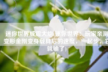 迷你世界威震大炮(迷你世界：玩家亲测变形金刚变身载具后的速度，一起步，它就输了)
