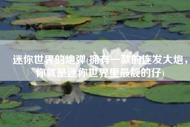 迷你世界的炮弹(拥有一款的连发大炮，你就是迷你世界里最靓的仔)
