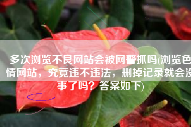 多次浏览不良网站会被网警抓吗(浏览色情网站，究竟违不违法，删掉记录就会没事了吗？答案如下)