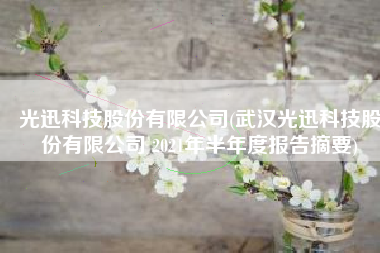 光迅科技股份有限公司(武汉光迅科技股份有限公司 2021年半年度报告摘要)