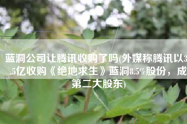 蓝洞公司让腾讯收购了吗(外媒称腾讯以30.5亿收购《绝地求生》蓝洞8.5%股份，成第二大股东)