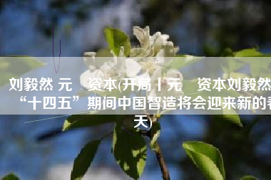 刘毅然 元璟资本(开局丨元璟资本刘毅然：“十四五”期间中国智造将会迎来新的春天)