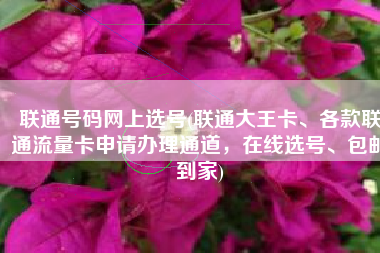 联通号码网上选号(联通大王卡、各款联通流量卡申请办理通道，在线选号、包邮到家)