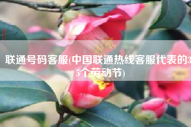 联通号码客服(中国联通热线客服代表的365个劳动节)