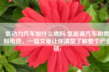 氢动力汽车加什么燃料(氢能源汽车和燃料电池，一篇文章让你清楚了解整个产业链)