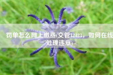 罚单怎么网上缴费(交管12123，如何在线处理违章)