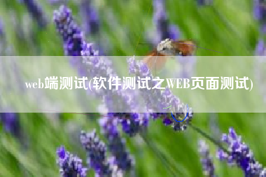 web端测试(软件测试之WEB页面测试)