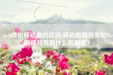 web端和移动端的区别(移动前端开发和Web前端开发有什么区别呢？)