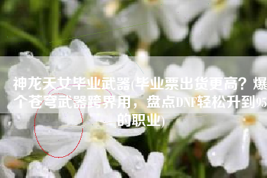 神龙天女毕业武器(毕业票出货更高？爆个苍穹武器跨界用，盘点DNF轻松升到95的职业)
