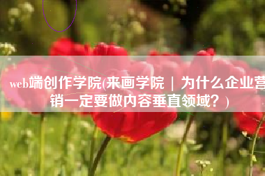 web端创作学院(来画学院 | 为什么企业营销一定要做内容垂直领域？)