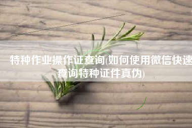 特种作业操作证查询(如何使用微信快速查询特种证件真伪)